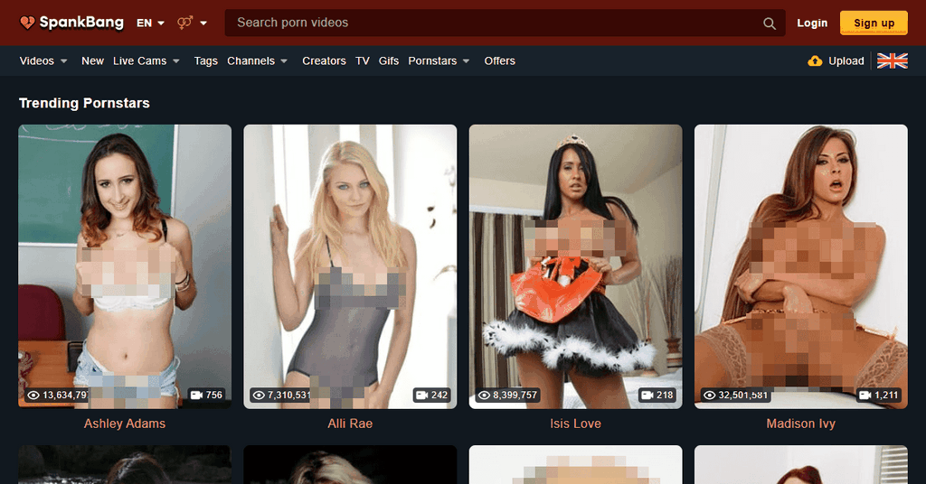 Regional Variations: North American Preferences