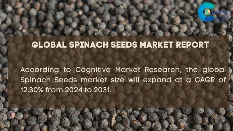 Unlock Exclusive Rewards with SpinMacho Online Slots Bonuses Today